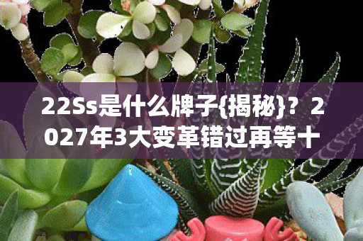 2027年3大变革错过再等十年图片
