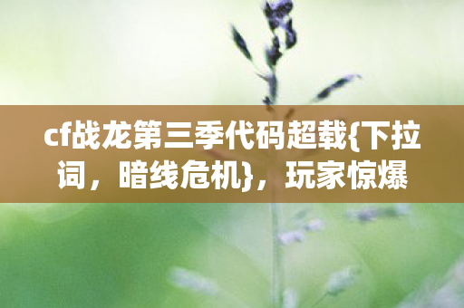 cf战龙第三季代码超载图片