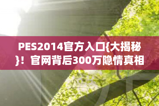 官网背后300万隐情真相图片