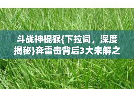 奔雷击背后3大未解之谜图片