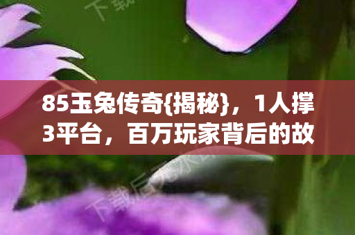 百万玩家背后的故事图片