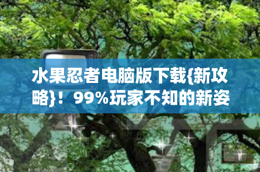水果忍者电脑版下载图片