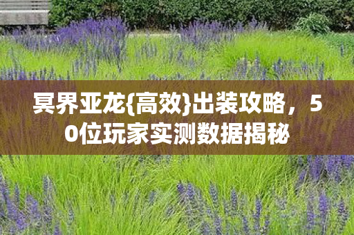 50位玩家实测数据揭秘图片