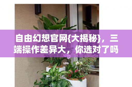 三端操作差异大图片