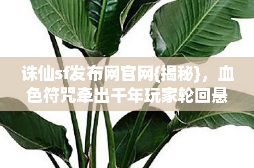 血色符咒牵出千年玩家轮回悬案图片