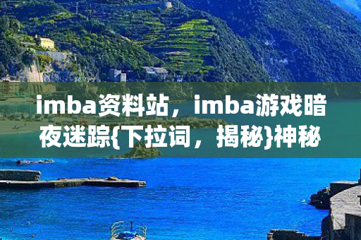 imba游戏暗夜迷踪图片