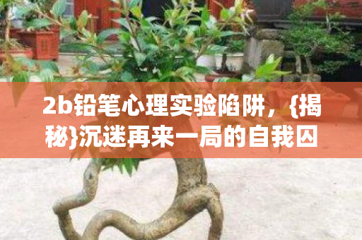 沉迷再来一局的自我囚禁图片