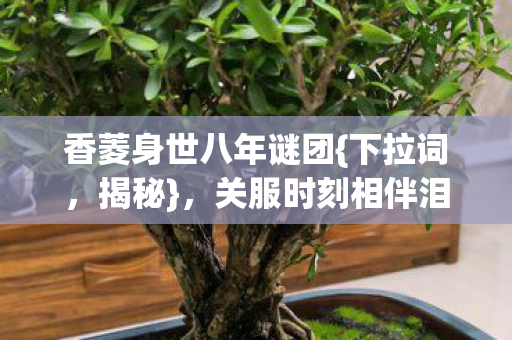 香菱身世八年谜团图片