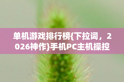 手机PC主机操控大不同图片