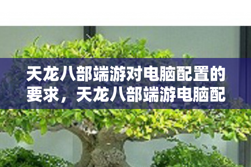 天龙八部端游对电脑配置的要求图片
