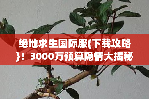 3000万预算隐情大揭秘图片