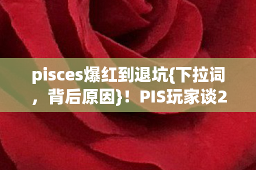 PIS玩家谈2027年破防玩法图片