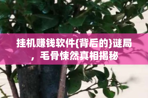 毛骨悚然真相揭秘图片
