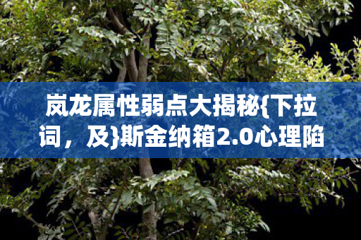 岚龙属性弱点大揭秘图片