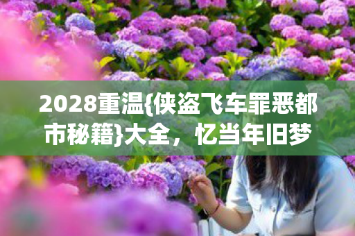 侠盗飞车罪恶都市秘籍图片