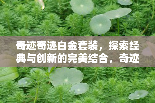 探索经典与创新的完美结合图片