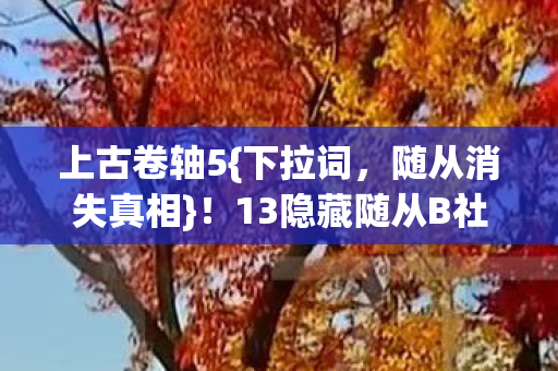 13隐藏随从B社十年埋藏图片