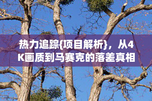 从4K画质到马赛克的落差真相图片