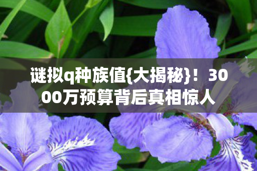 3000万预算背后真相惊人图片