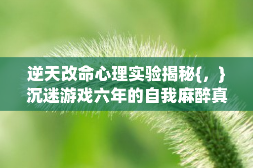 沉迷游戏六年的自我麻醉真相图片