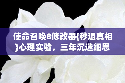 使命召唤8修改器图片