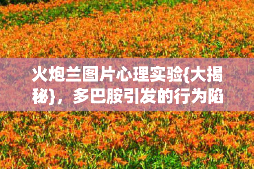 火炮兰图片心理实验{大揭秘},多巴胺引发的行为陷阱 火炮兰图片心理实验{大揭秘},多巴胺引发的行为陷阱