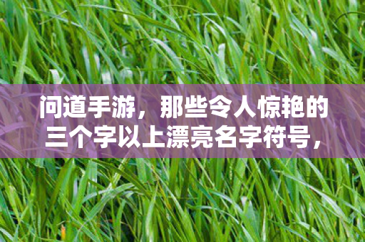 问道手游,那些令人惊艳的三个字以上漂亮名字符号,问道手游,打造惊艳昵称,解锁三个字以上漂亮名字符号 问道手游,那些令人惊艳的三个字以上漂亮名字符号,问道手游,打造惊艳昵称,解锁三个字以上漂亮名字符号