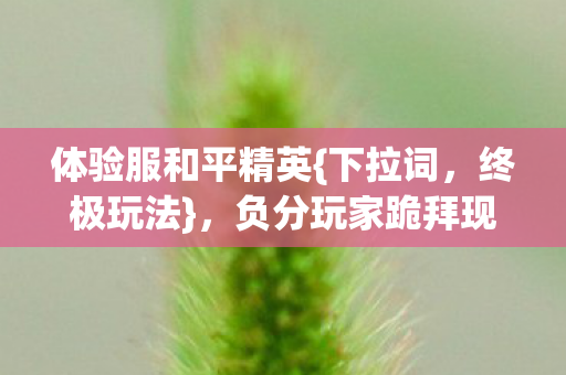 负分玩家跪拜现实荒原图片