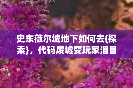 史东薇尔城地下如何去{探索},代码废墟变玩家泪目圣殿 史东薇尔城地下如何去{探索},代码废墟变玩家泪目圣殿