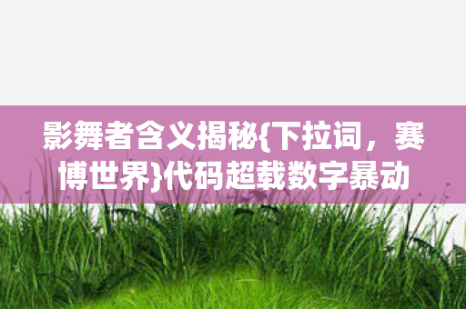 代码超载数字暴动图片