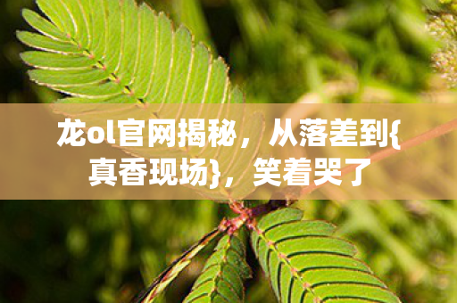 龙ol官网揭秘图片