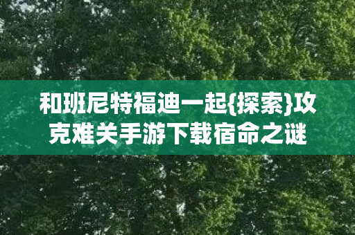 攻克难关手游下载宿命之谜图片