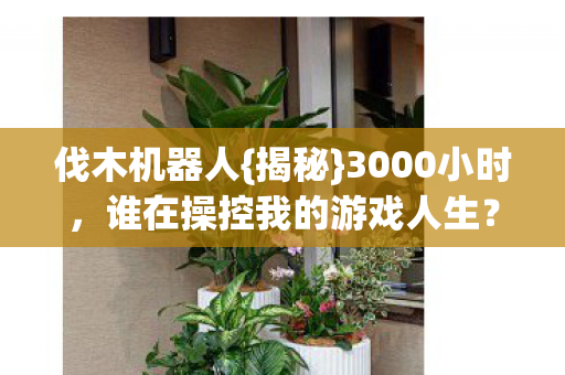 谁在操控我的游戏人生图片
