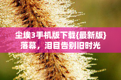 尘埃3手机版下载图片