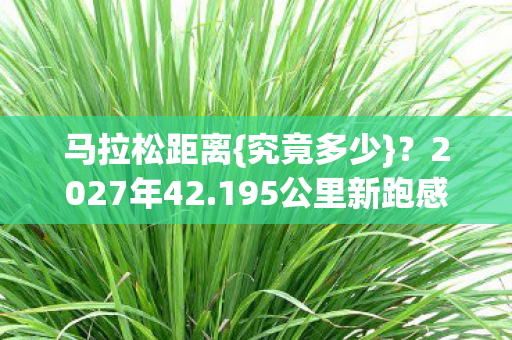 195公里新跑感揭秘图片