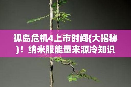 孤岛危机4上市时间{大揭秘}!纳米服能量来源冷知识 孤岛危机4上市时间{大揭秘}!纳米服能量来源冷知识