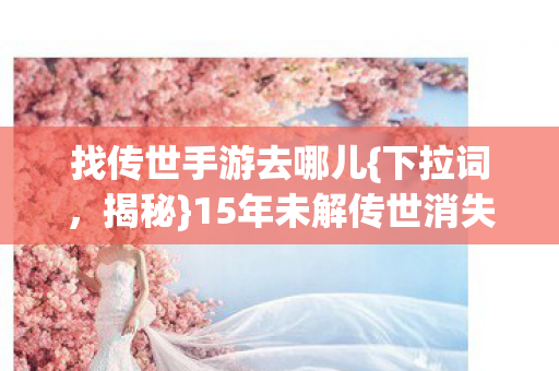 15年未解传世消失ID之谜图片