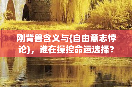 谁在操控命运选择图片