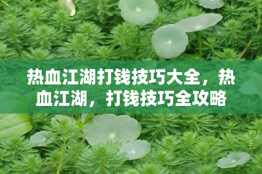 热血江湖打钱技巧大全,热血江湖,打钱技巧全攻略 热血江湖打钱技巧大全,热血江湖,打钱技巧全攻略