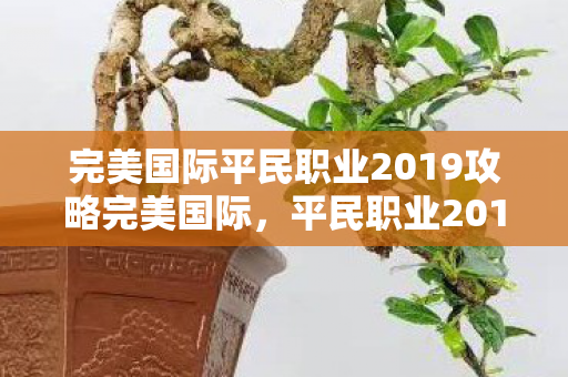 完美国际平民职业2019攻略完美国际图片