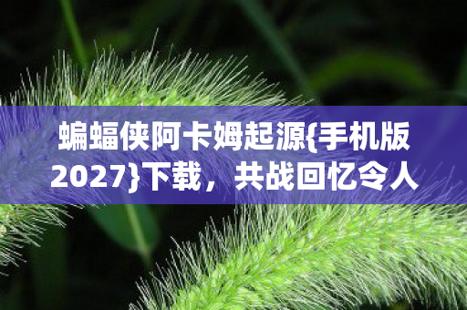 蝙蝠侠阿卡姆起源图片