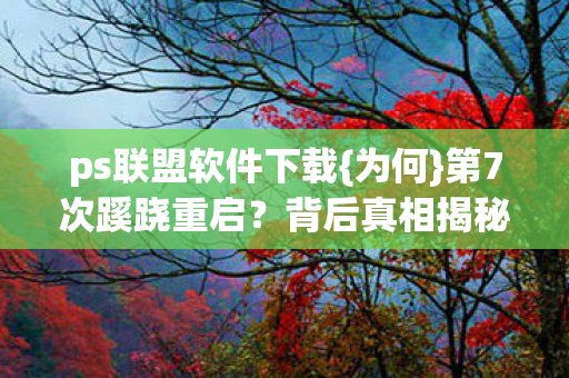 ps联盟软件下载图片