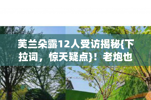 芙兰朵露12人受访揭秘图片
