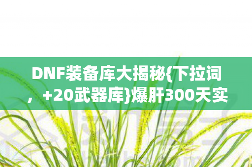 DNF装备库大揭秘图片