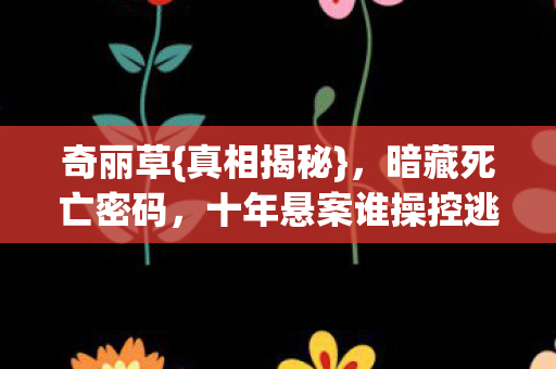 十年悬案谁操控逃生路图片