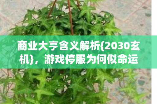 游戏停服为何似命运倒计时图片