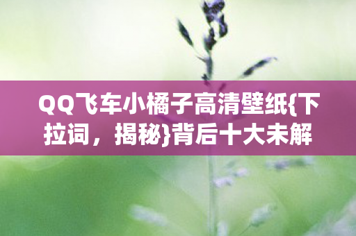 QQ飞车小橘子高清壁纸图片