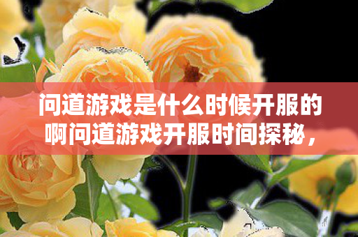 问道游戏是什么时候开服的啊问道游戏开服时间探秘，探秘问道游戏开服时间