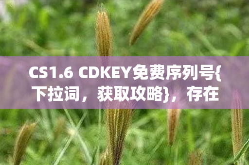 6 CDKEY免费序列号图片