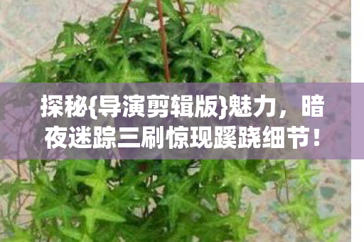 暗夜迷踪三刷惊现蹊跷细节图片